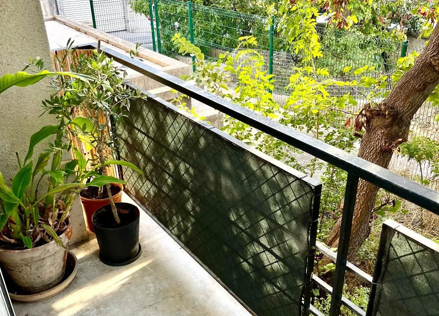 Appartement Roucas - Corniche Marseille Apartment